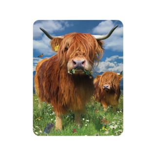 Obrázek z Magnet 3D 7x9cm - Skotský náhorní skot (25) 